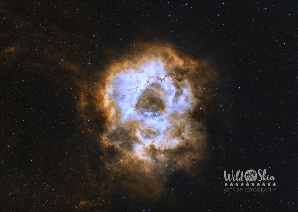 Rosette Nebula (NGC 2237)